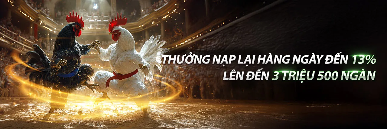 Đá Gà Trực Tuyến open8808